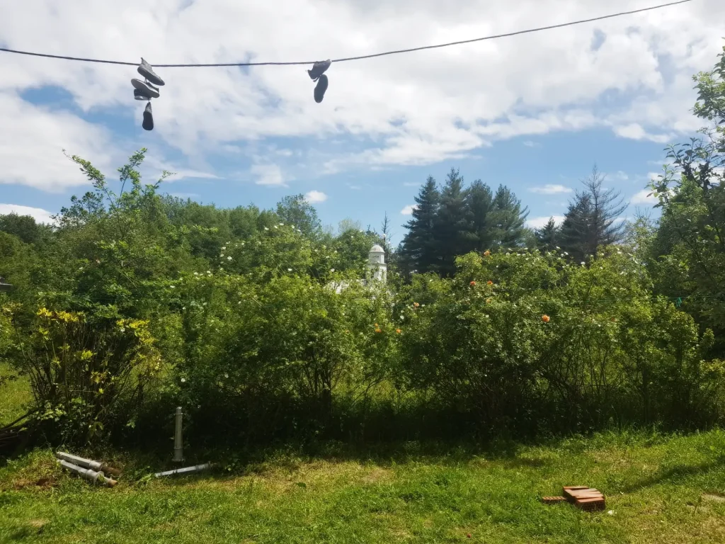 meadow, church, tennis shoes on the wire